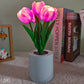 LoxiDesign™ Enchanted Tulips